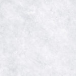 B1220 F1